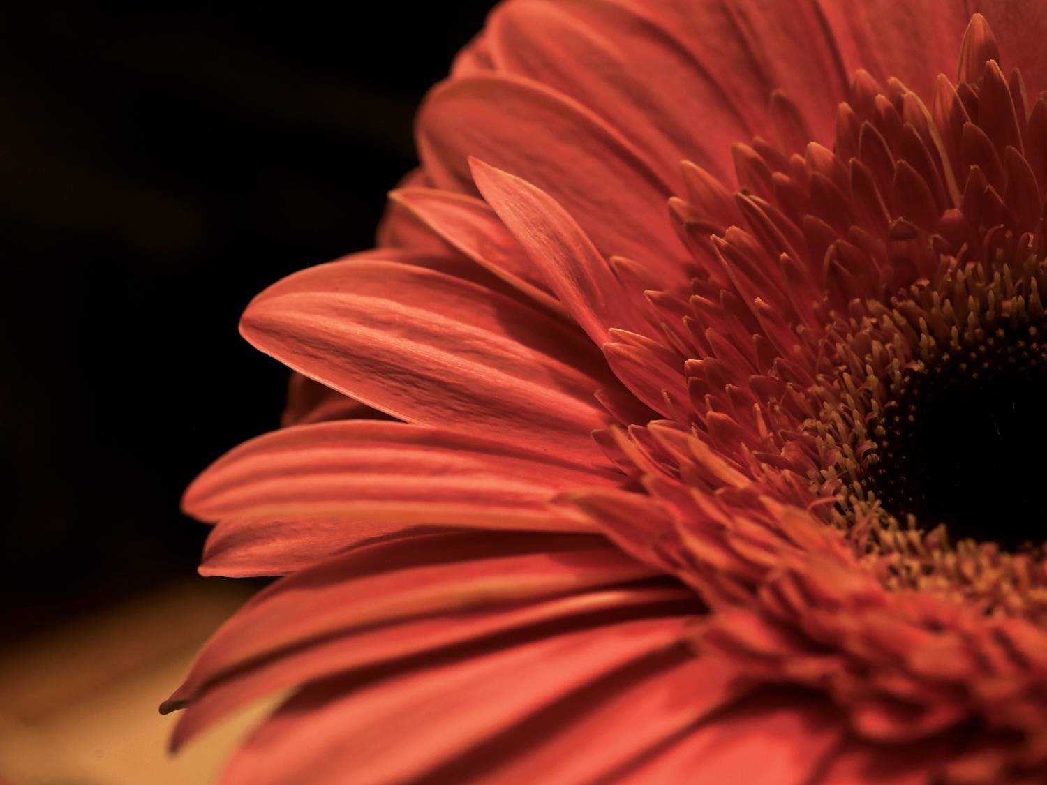 , Сергей Никулин