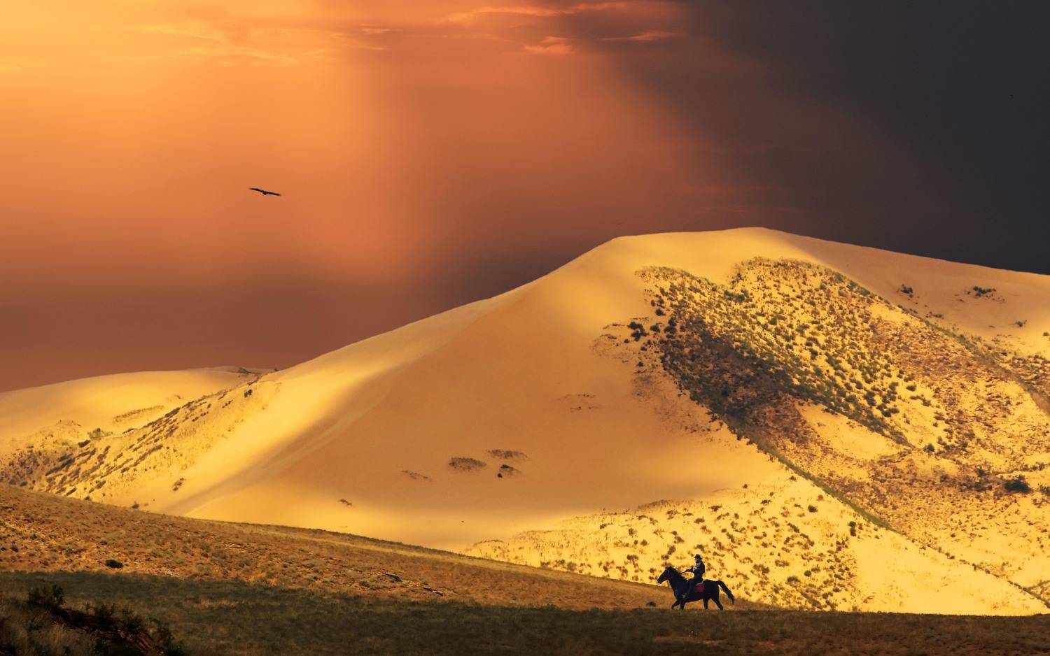 сары кум,жёлтые пески,песчаная гора,дагестан,, Marat Magov