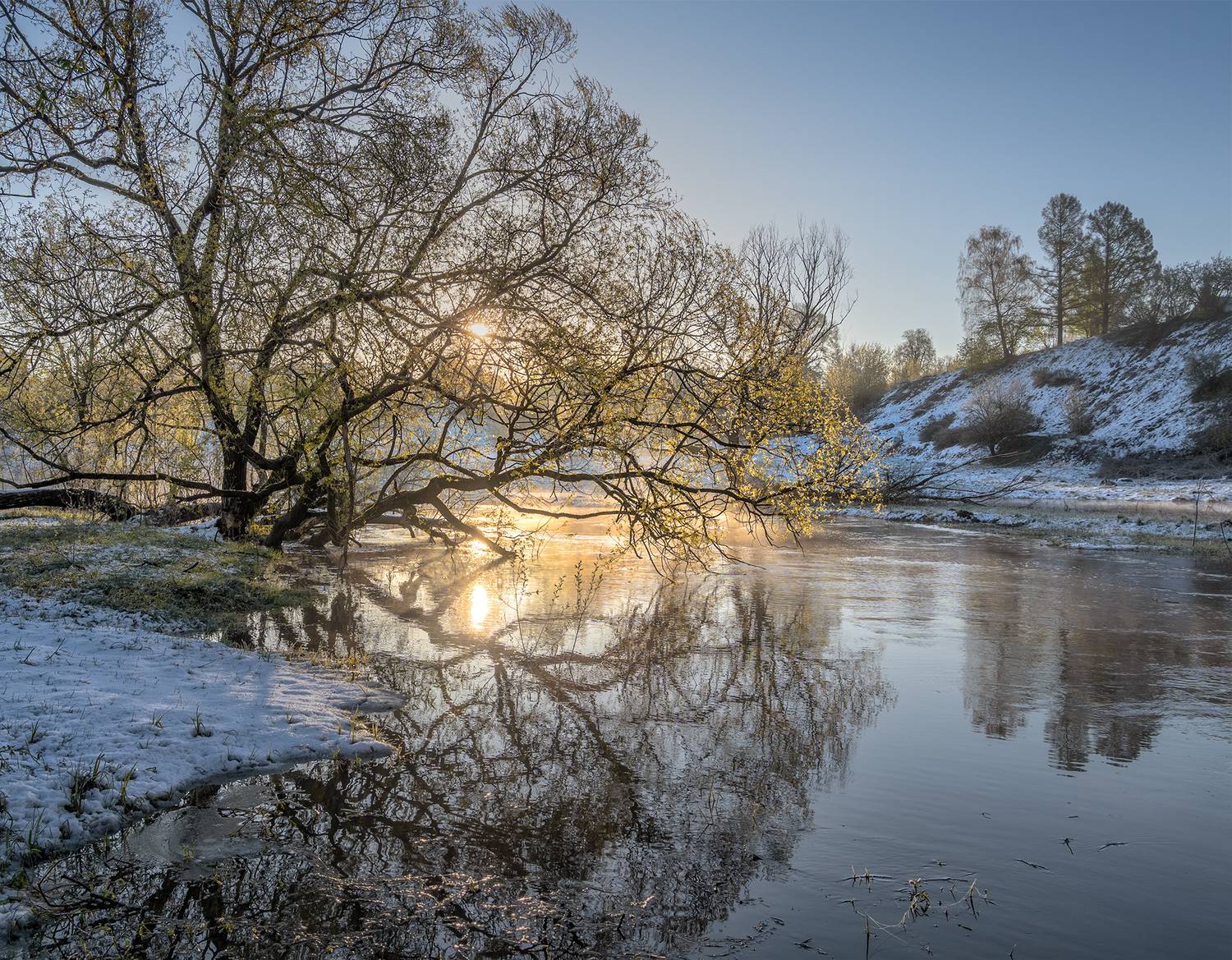, Андреев Николай