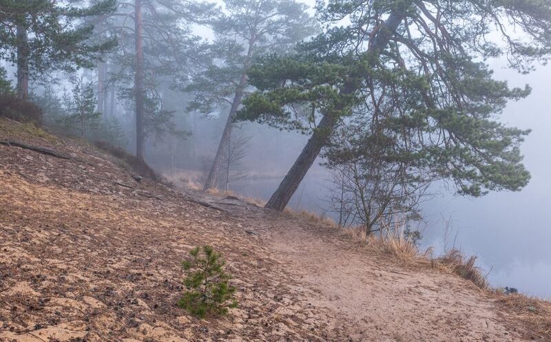 Туманное утро фото превью