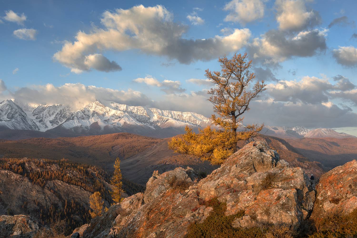 , Константин Маланин