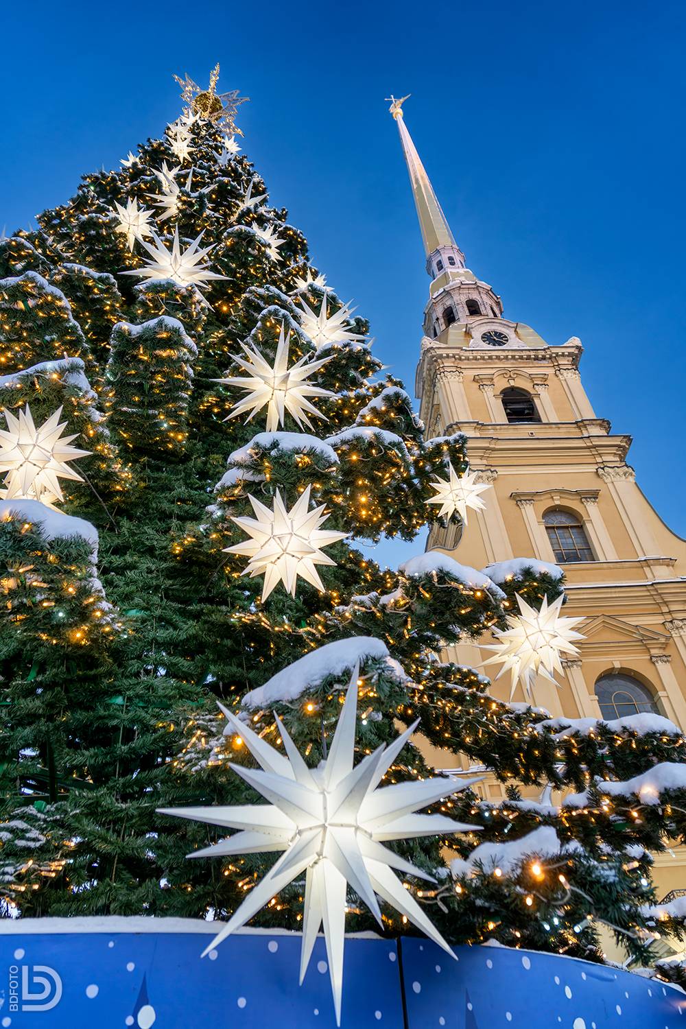 ёлка, собор, рождество, Дмитрий Бакулин