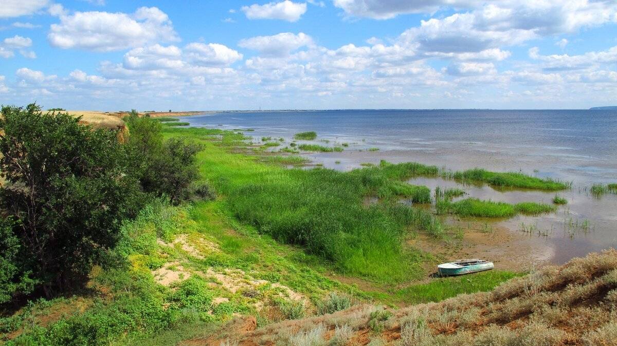 , Егорова Наталья