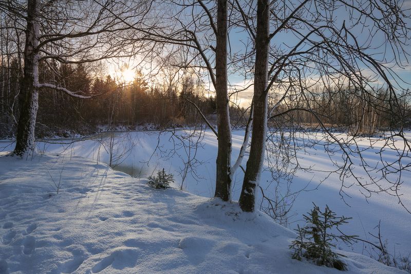 Московская обл. Первый снег... фото превью