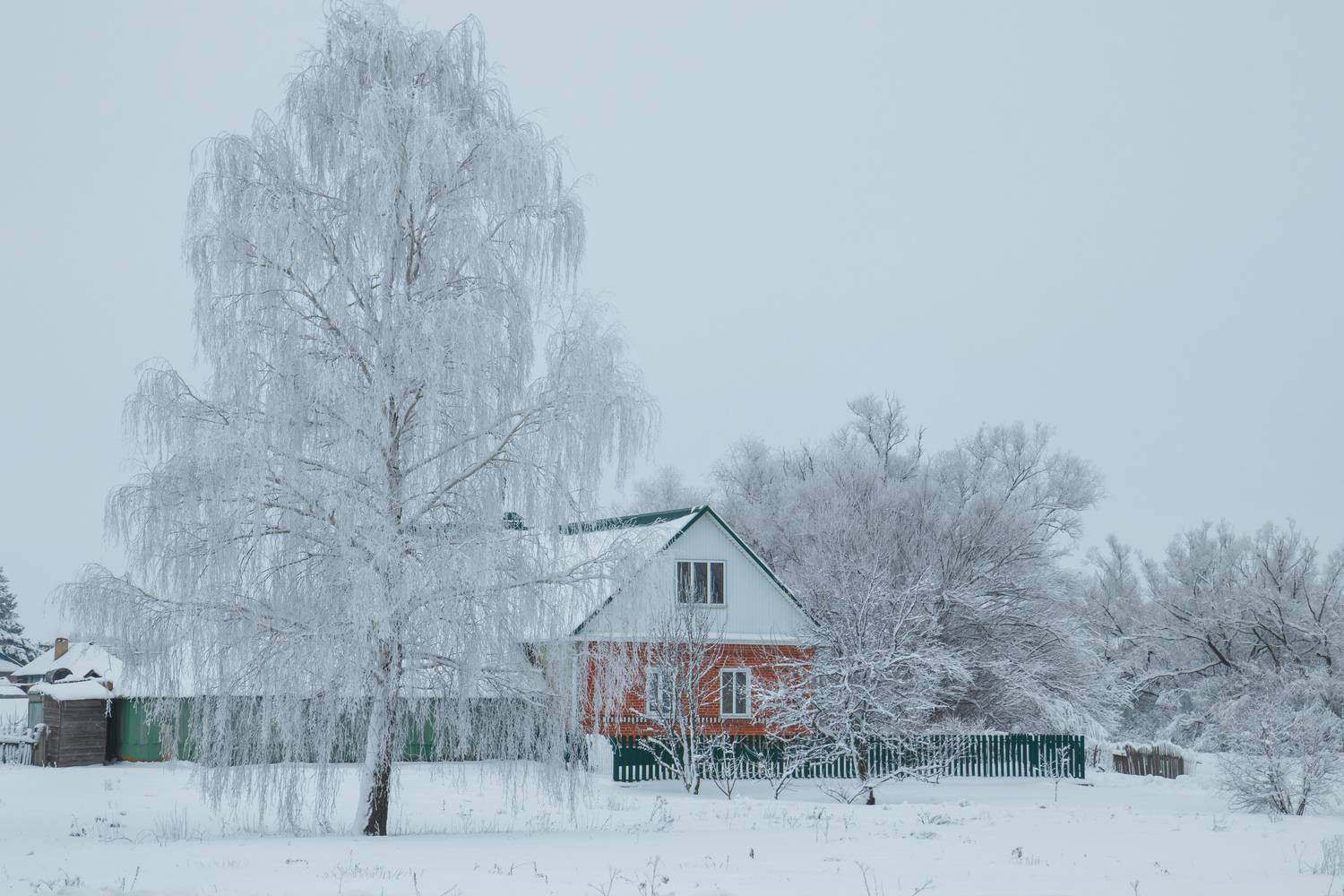 , Игорь Кабанов