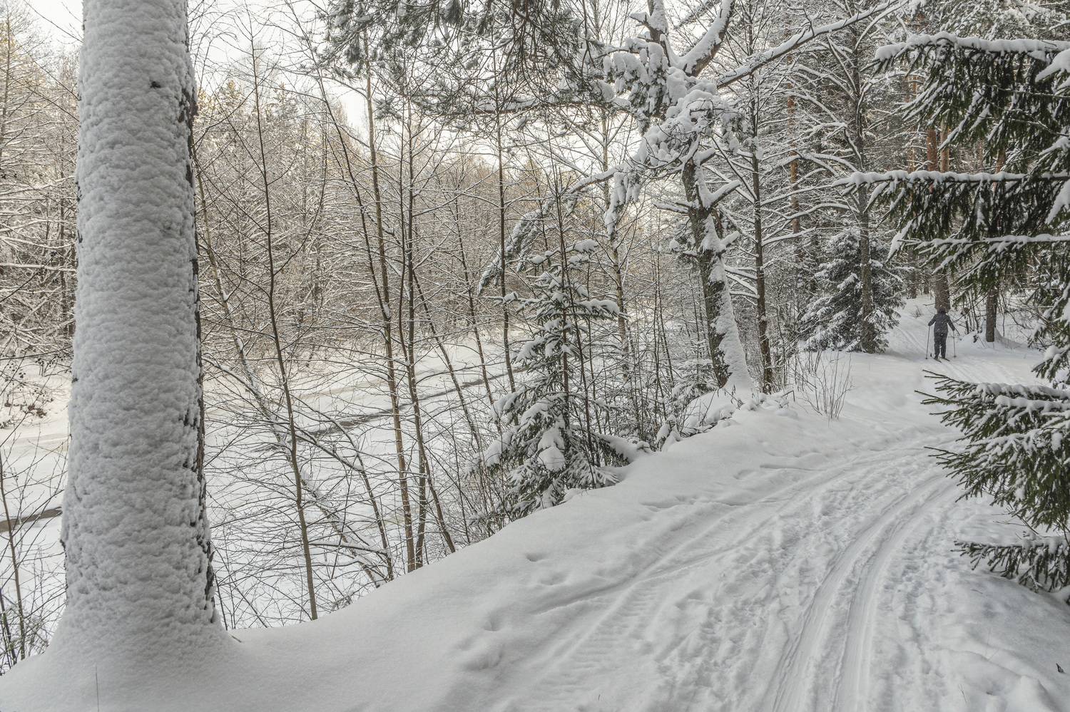 , Шитов Александр