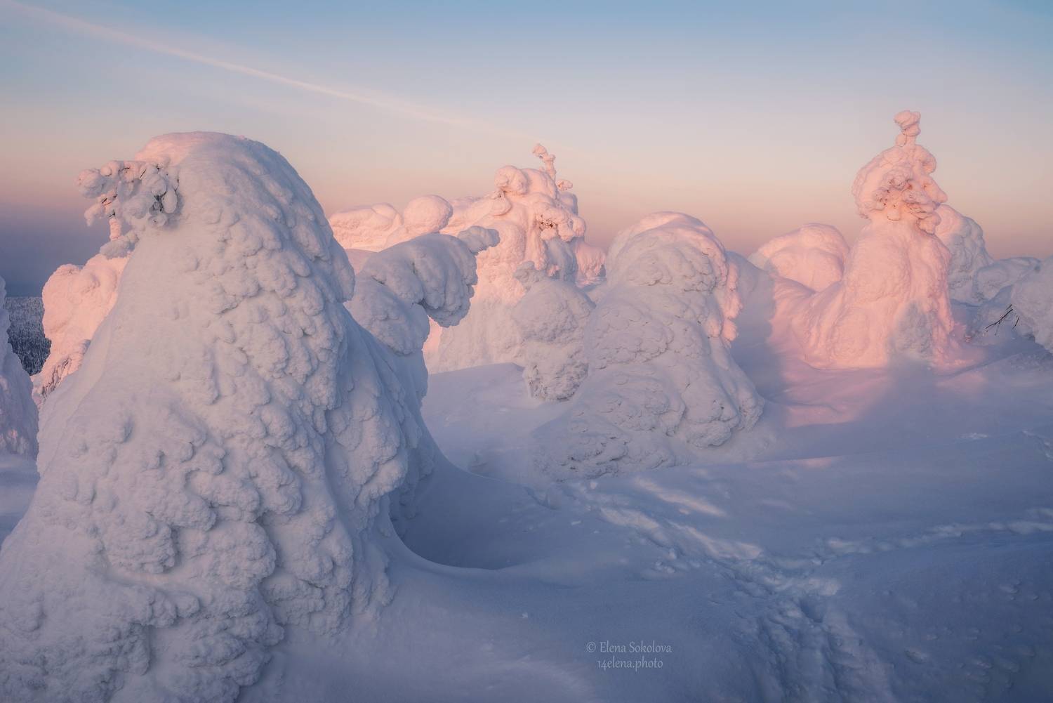 , Елена Соколова