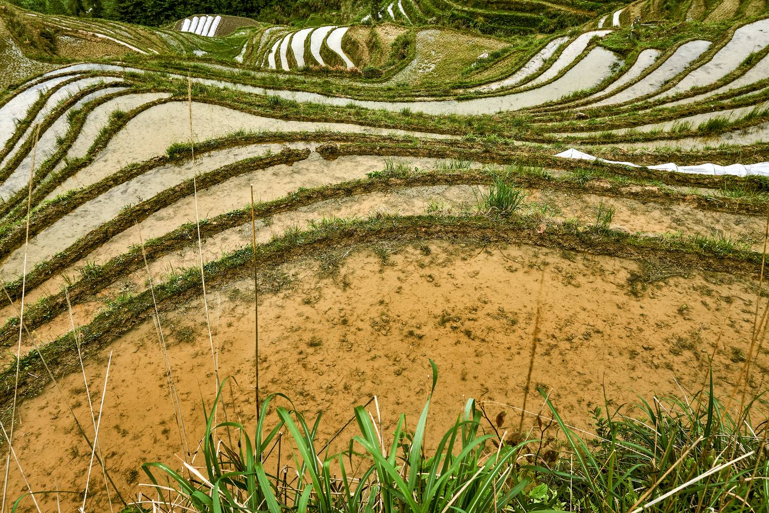 , Низовцев Сергей