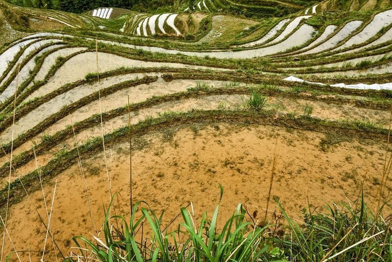Рисовые террасы Лунцзи фото превью