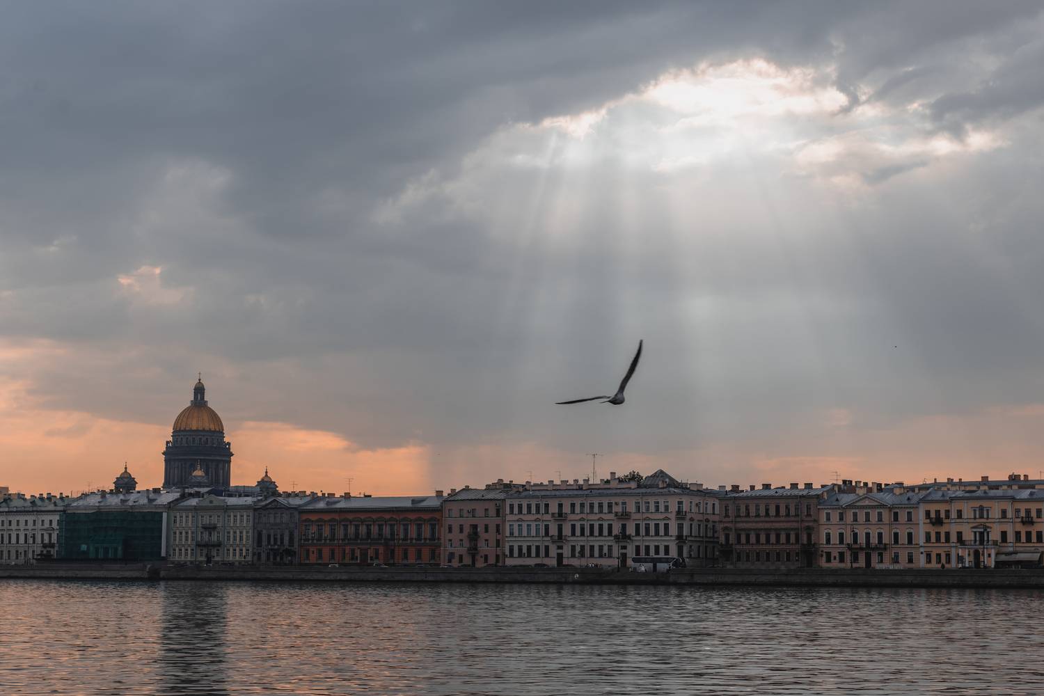Санкт-Петербург, Питер, Нева, город на Неве, Кормашова Татьяна