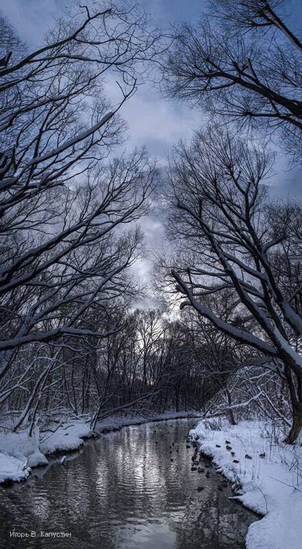 *** фото превью