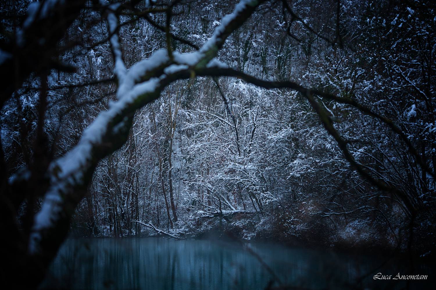 lake water winter snow trees nature landscape cold, Anconetani Luca