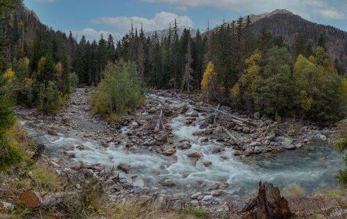 ОСЕННЯЯ ПАНОРАМА