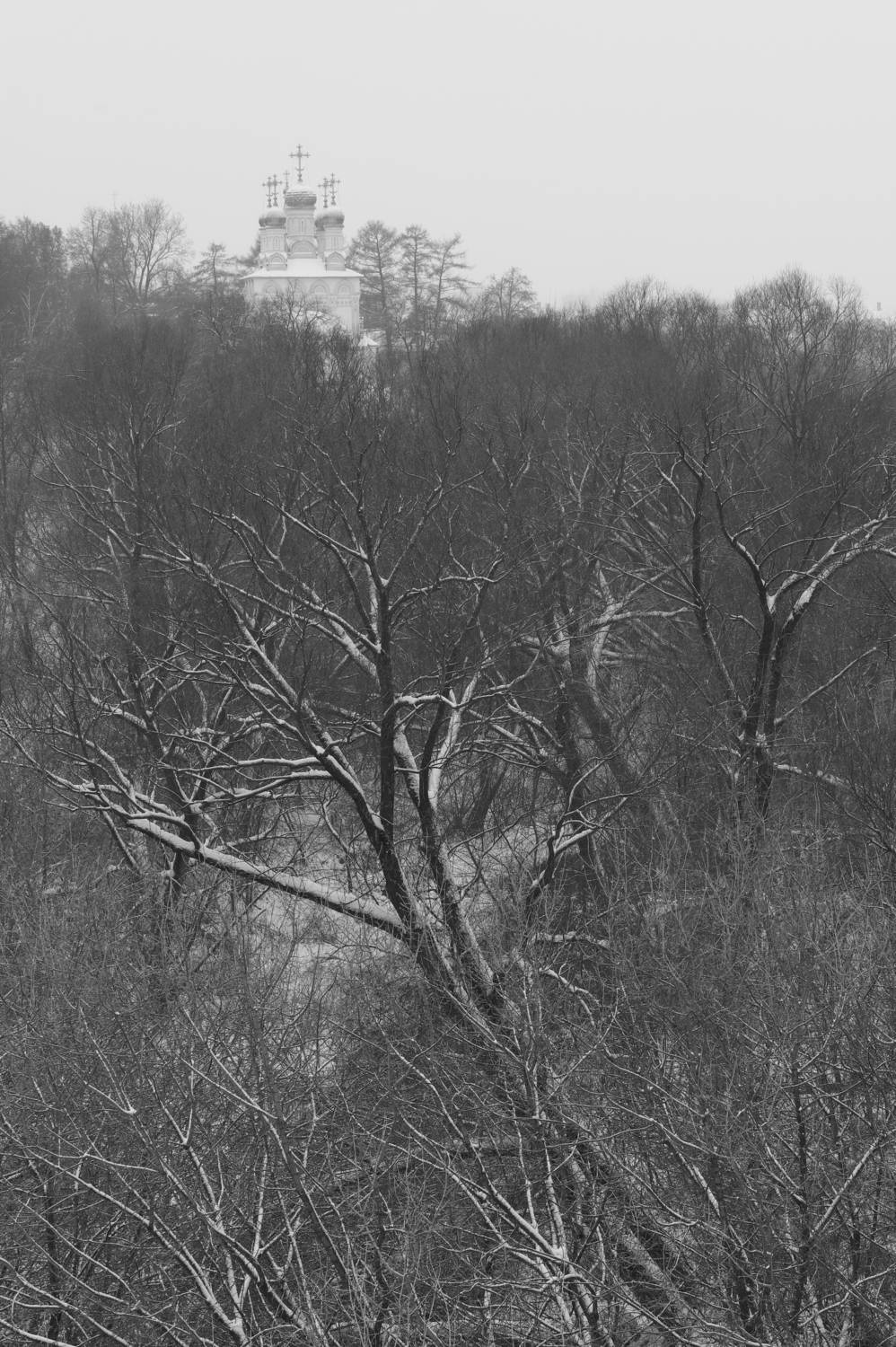 , Чудинин Дмитрий