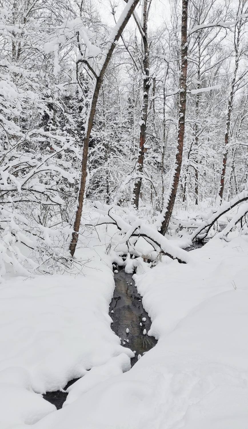 , Фото Александр