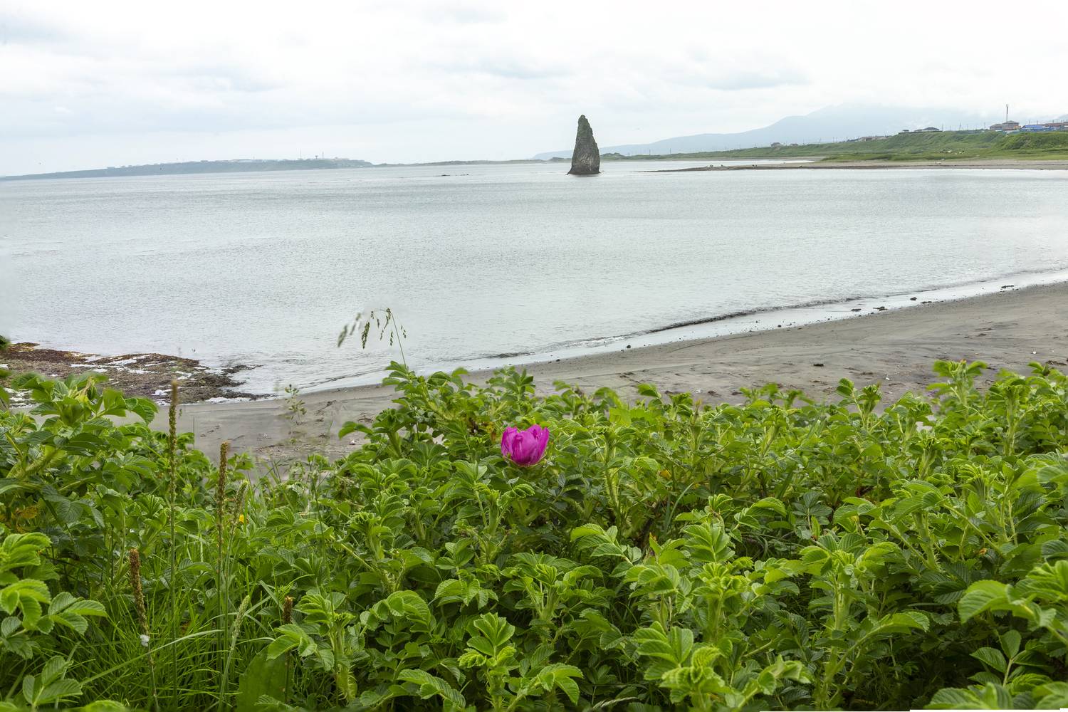 , Башкин Георгий