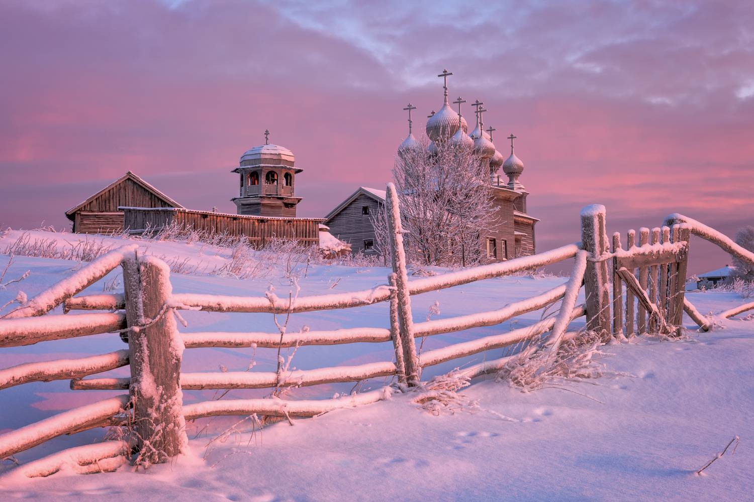 Ворзогоры , Евдокимов Максим