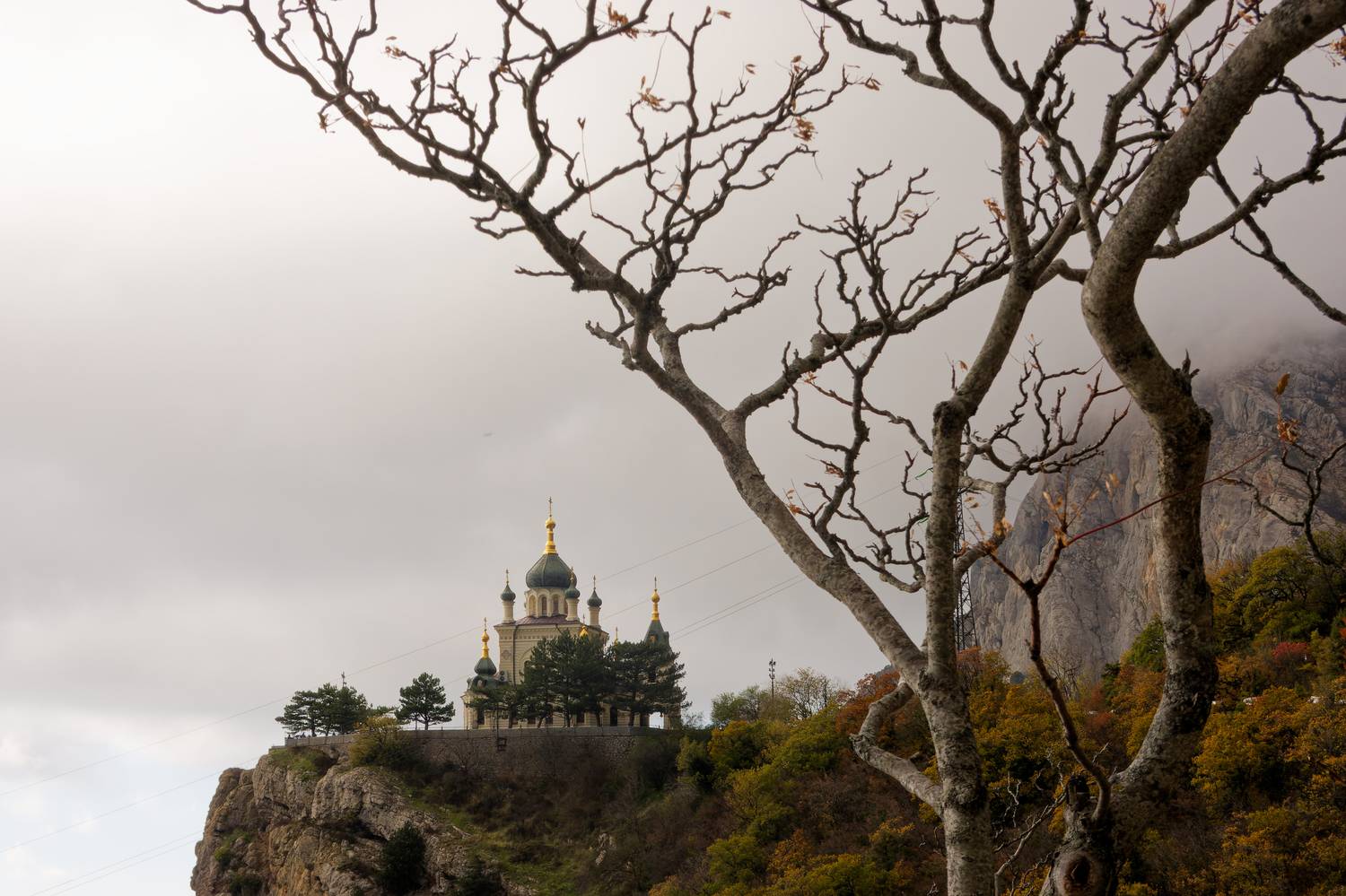 , Какоткин Роман