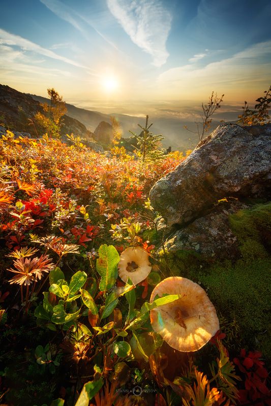 На склонах Серебрянки фото превью