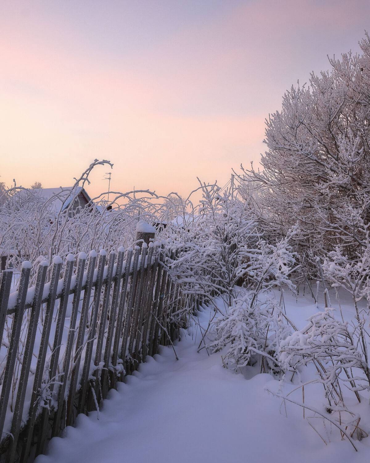 , Александр Титов