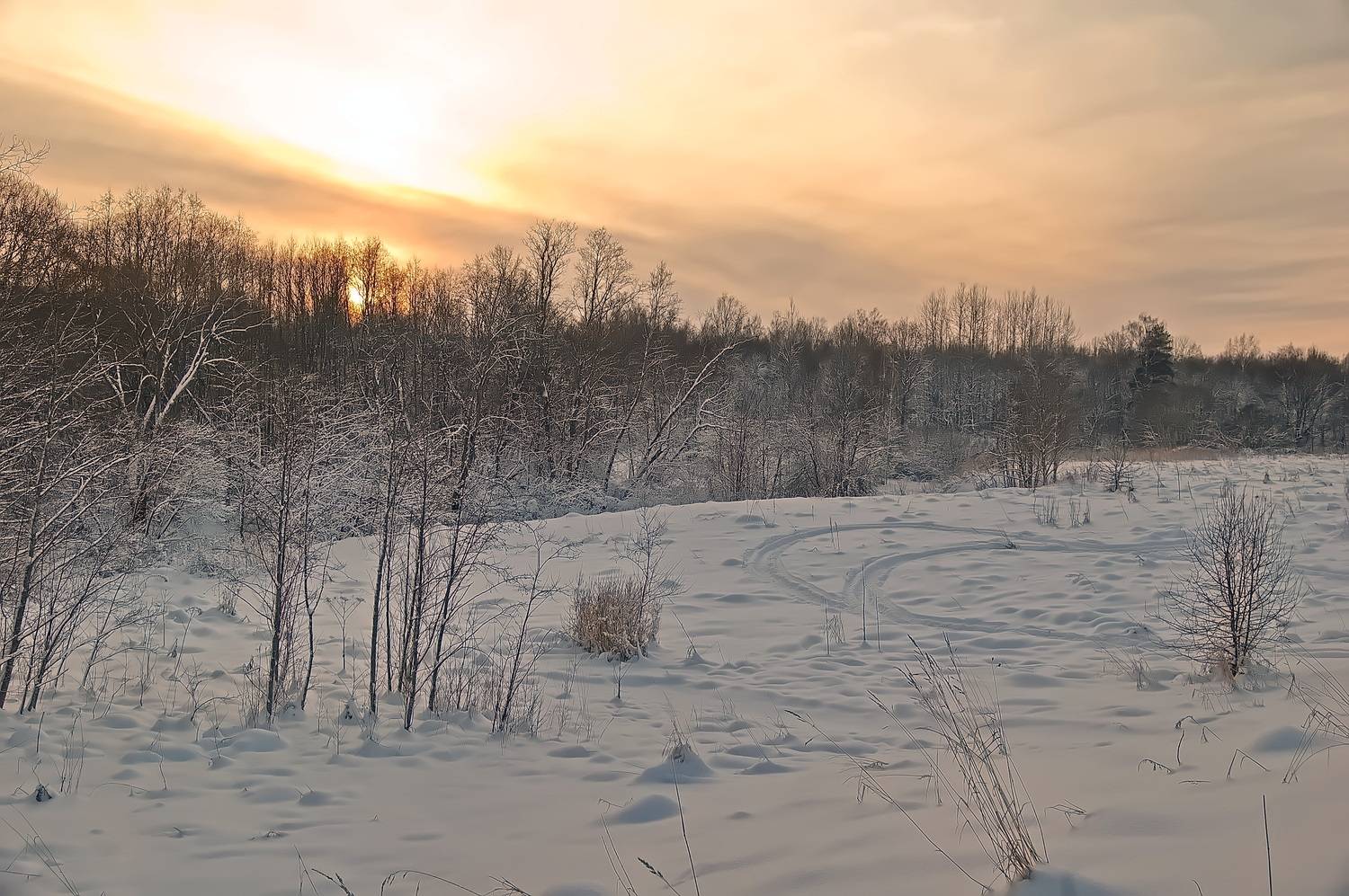 , Николаев Владимир