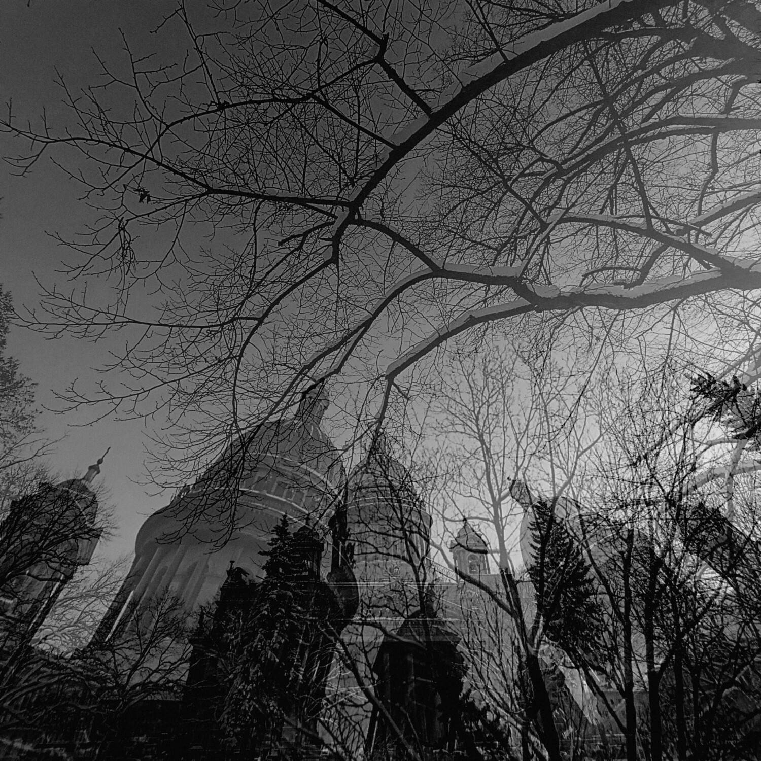 , Антон Лаба