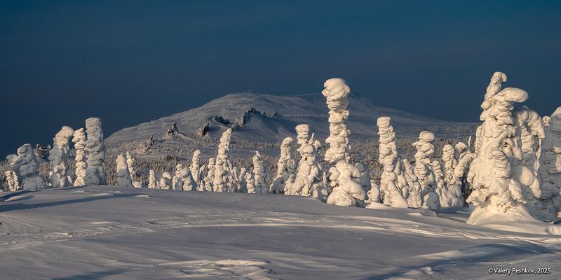 шерегеш, иней, пихты, снег, гора зелёная, горная шория, смена погоды, мороз, зима, сибирь Два состояния фото превью