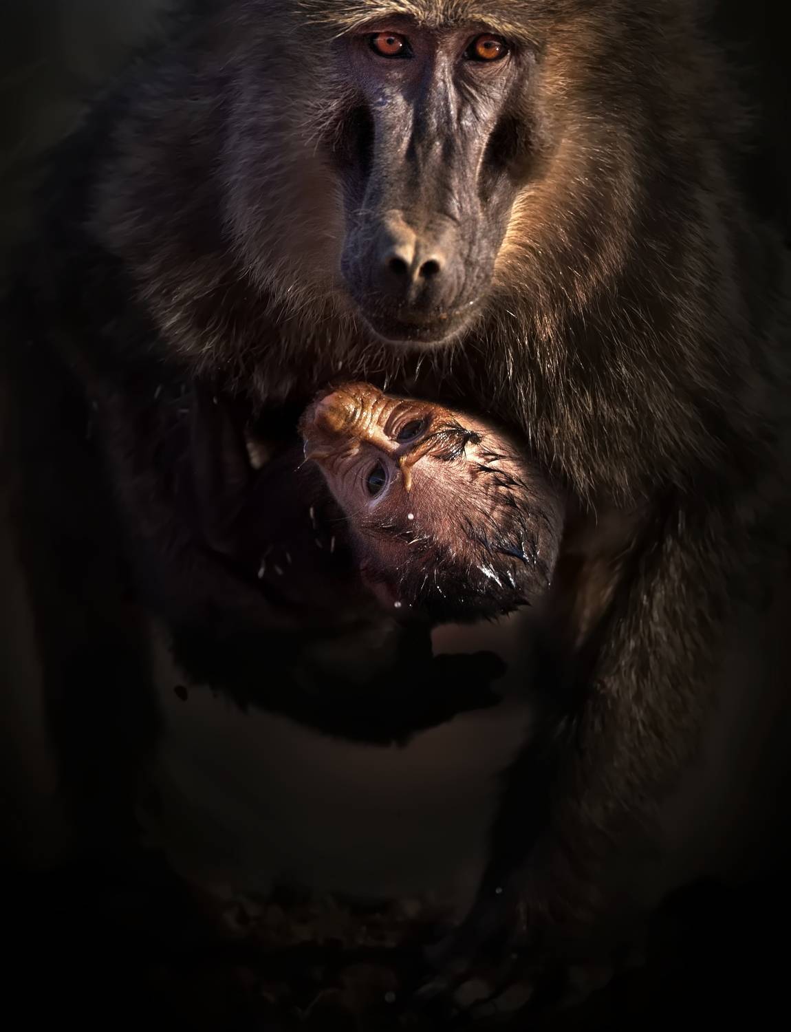 , Александр Перов