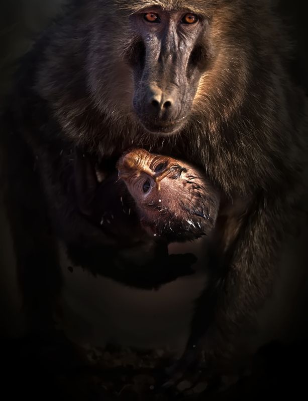 Сокровище фото превью