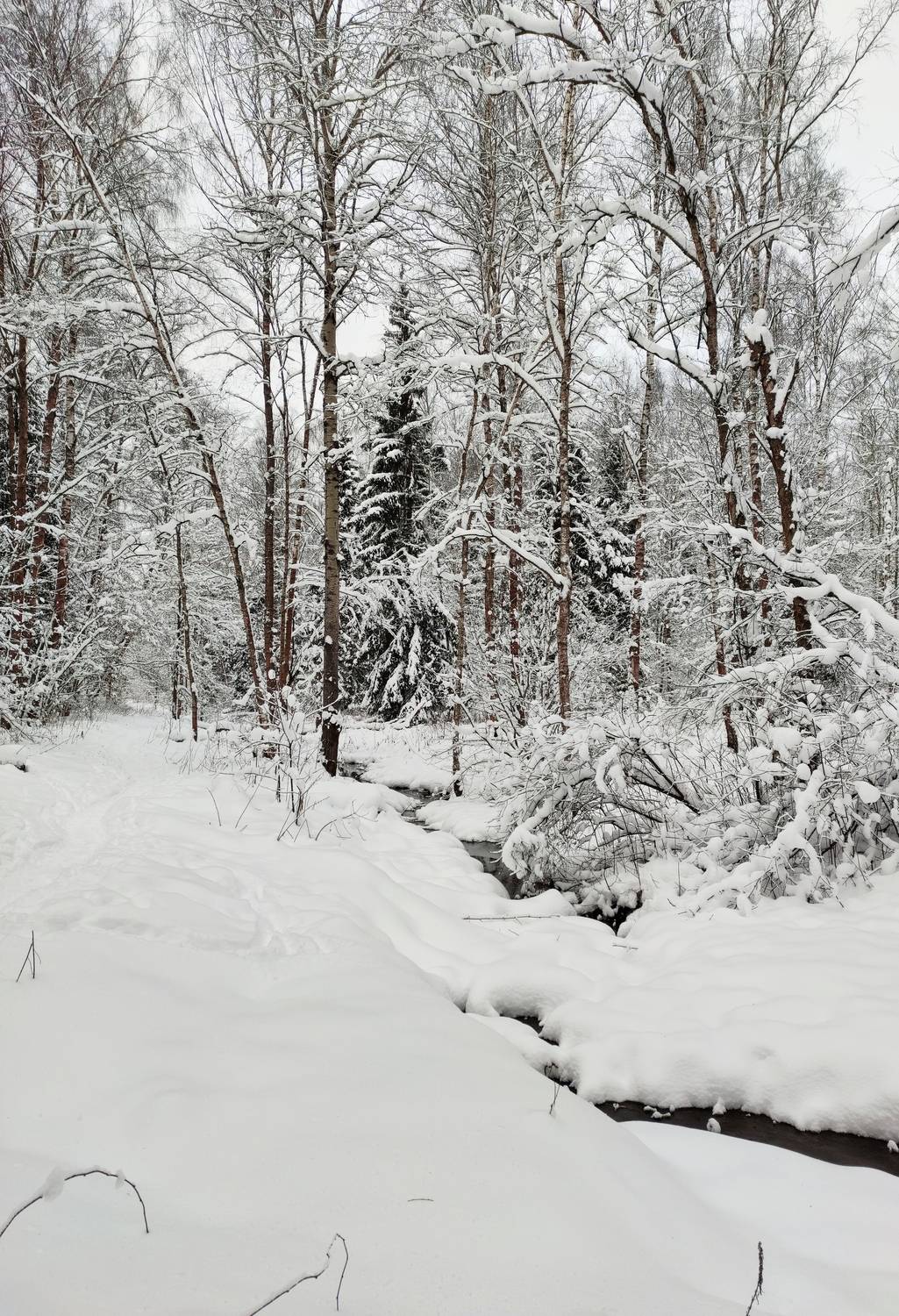 , Фото Александр
