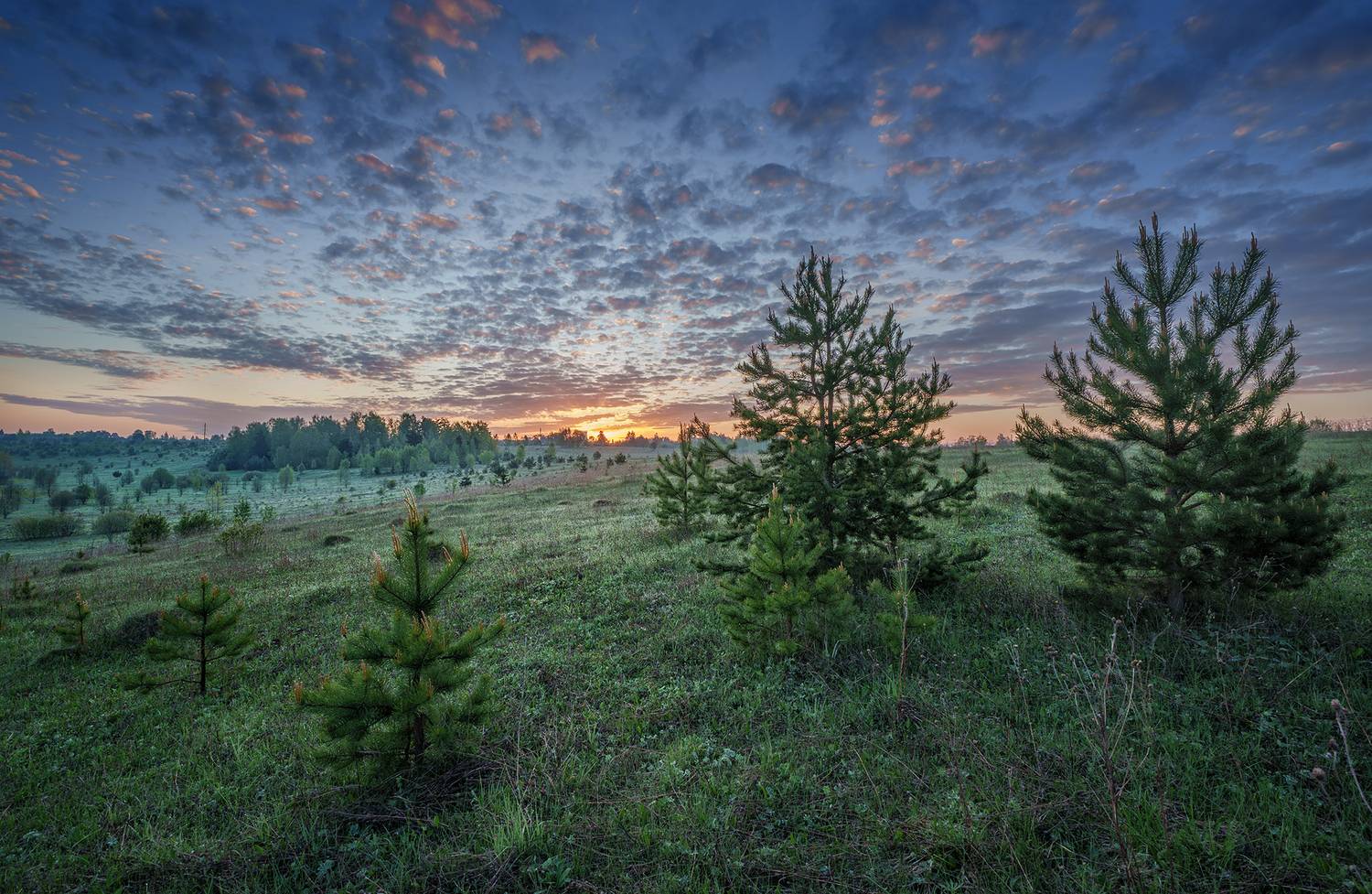 , Андреев Николай