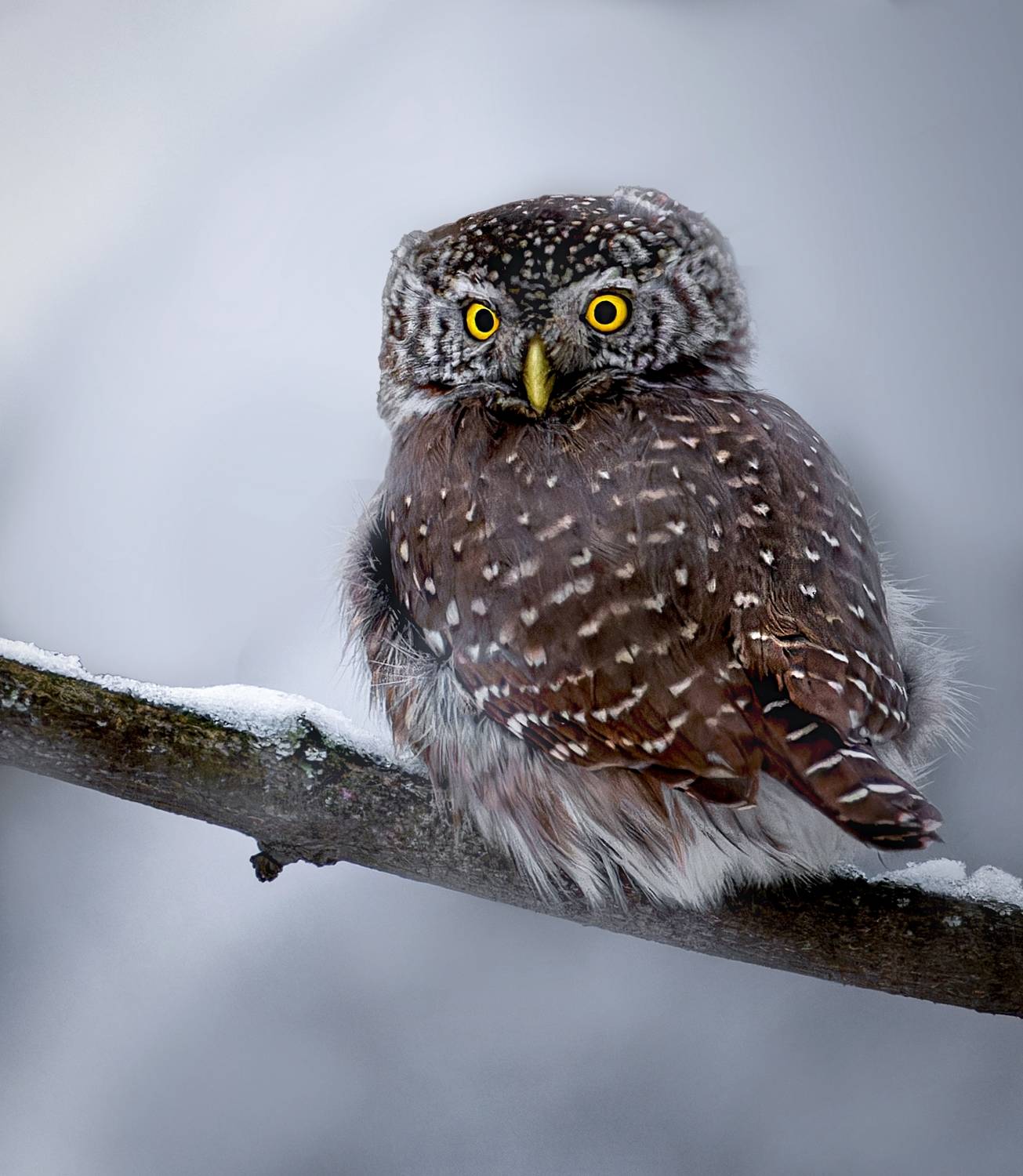 , Фото Александр