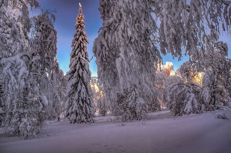 Зимняя сказка фото превью
