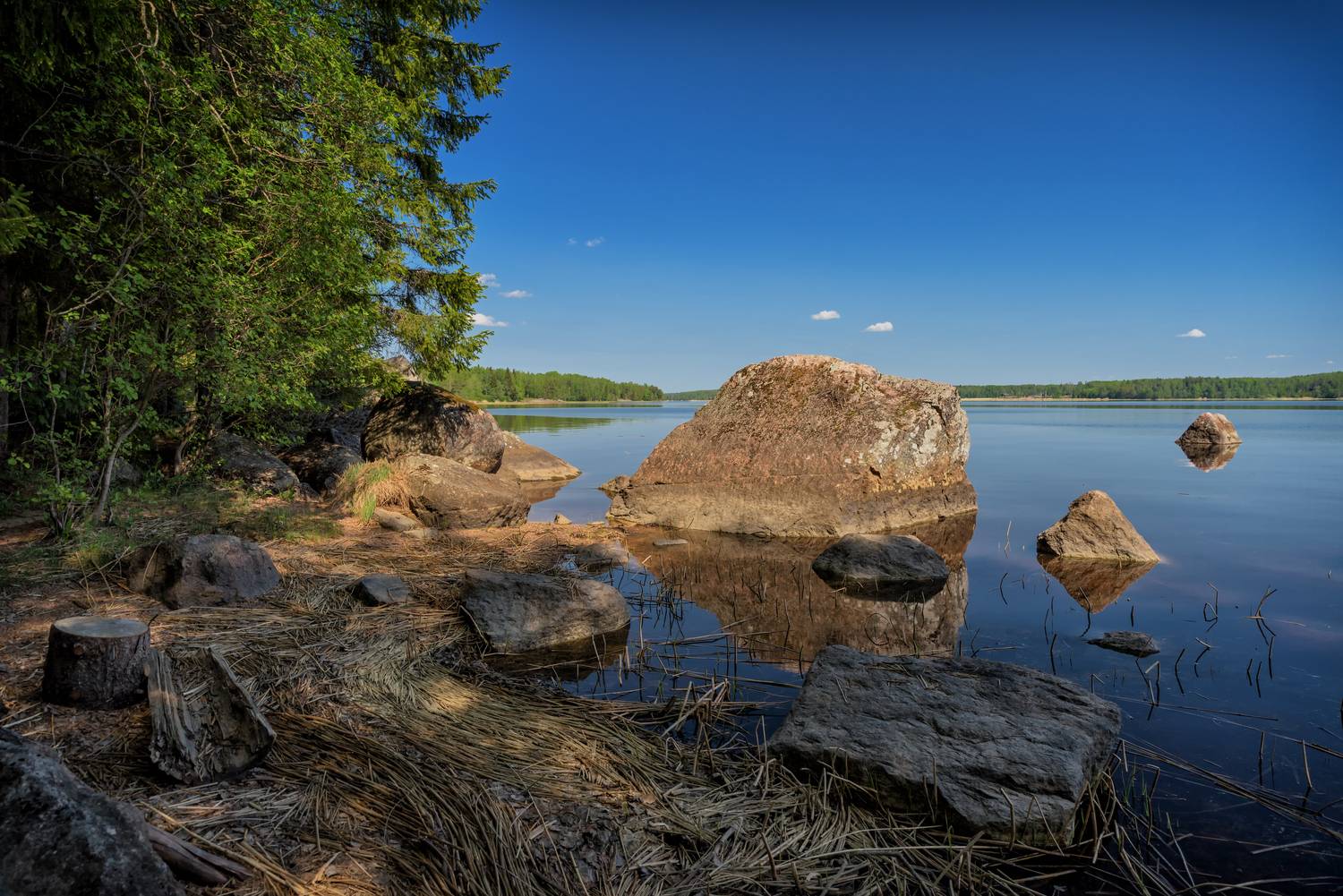 выборг., парк, монрепо., весна., Тихонов Дмитрий
