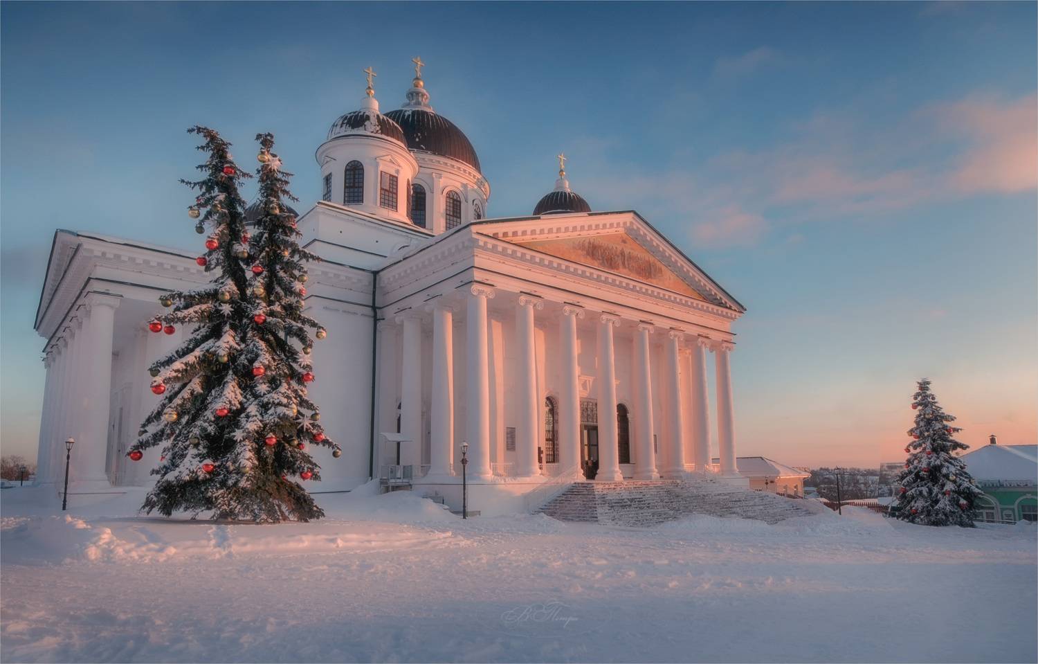 собор ёлки колонны, Вера Петри