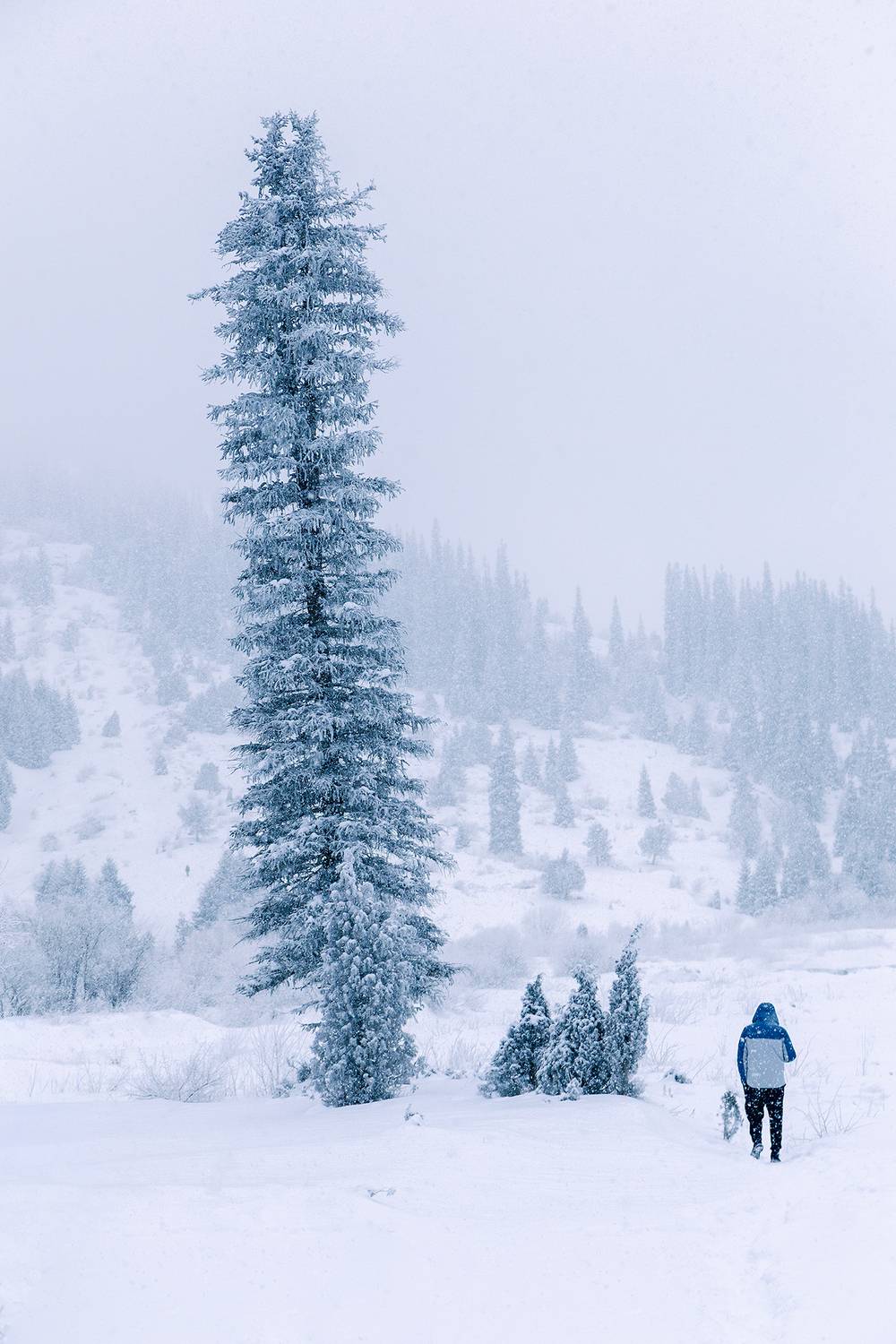 кыргызстан, ала-арча, Элина Магалимова