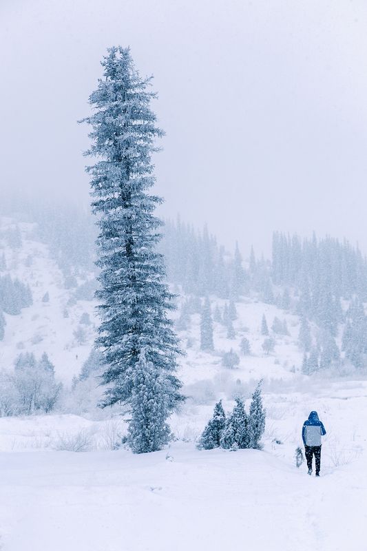 кыргызстан, ала-арча Рождественский вайб фото превью