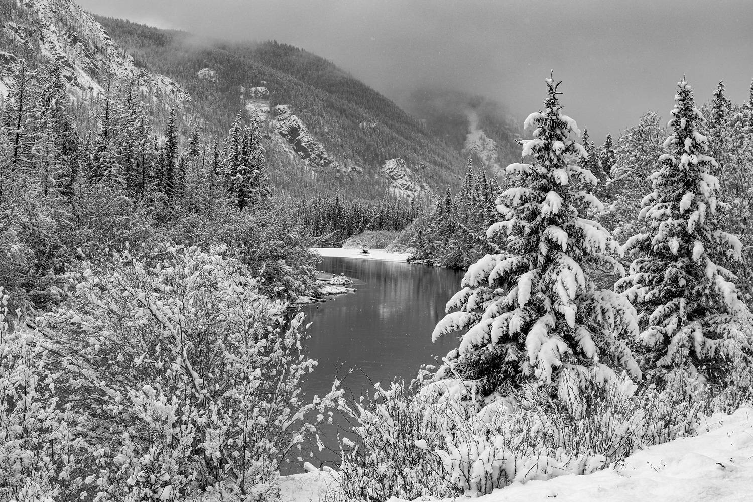 графика, Владимир Каверин