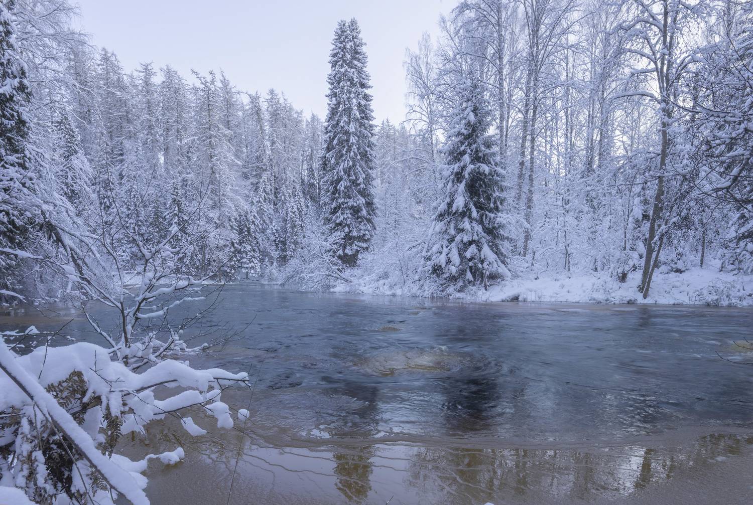 зима, мороз, пейзаж, река, зимняя река, ленинградская область, река рощинка, линдуловская роща, Дейнекина Галина