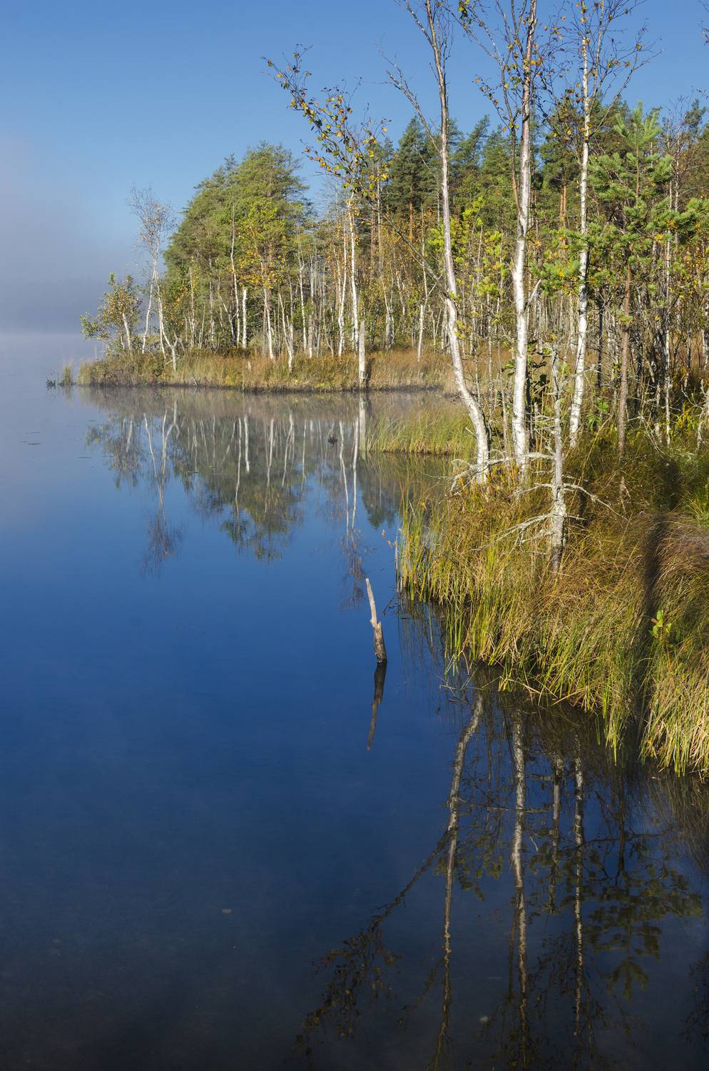 , Алексей Алешин