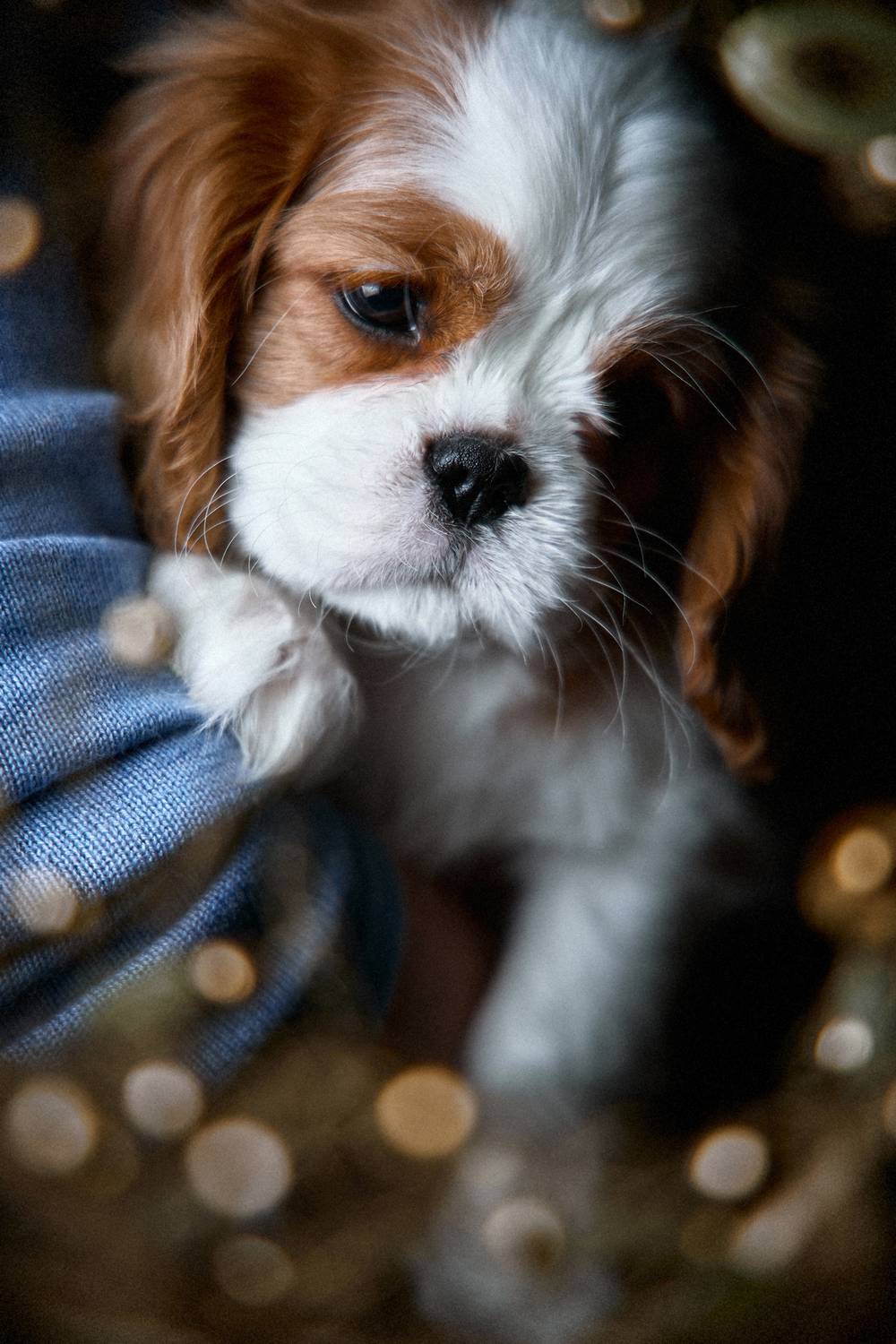 , Вострецов Иван