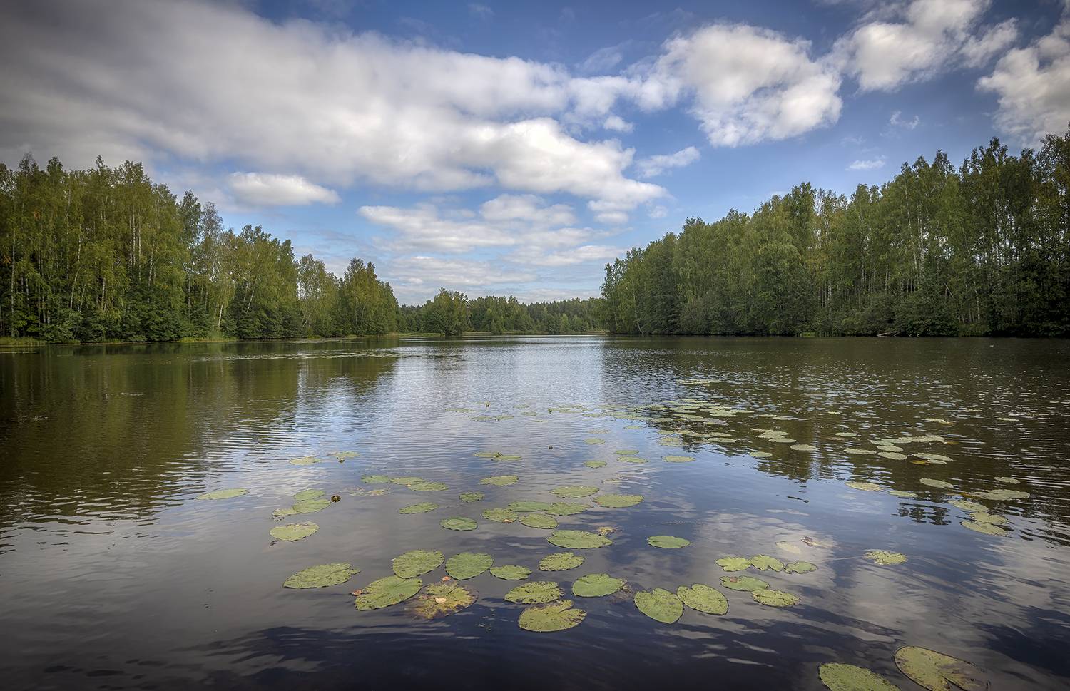 , Сергей Аникин