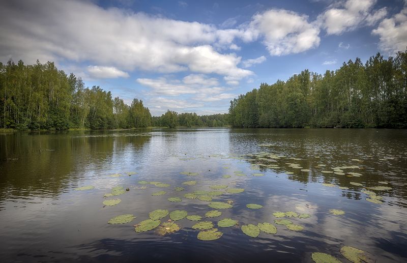 *** фото превью