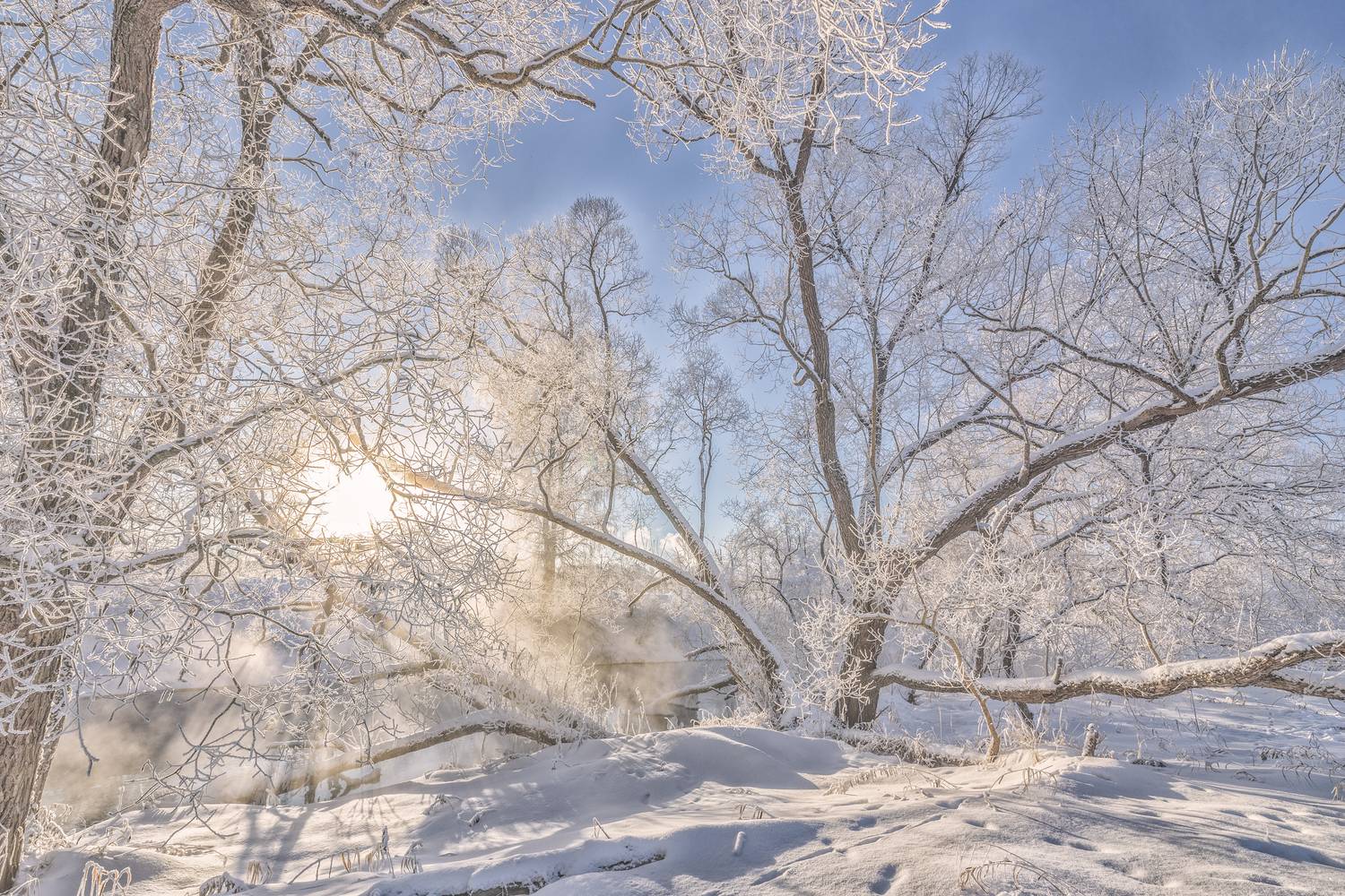 Истра, Гусева Елена