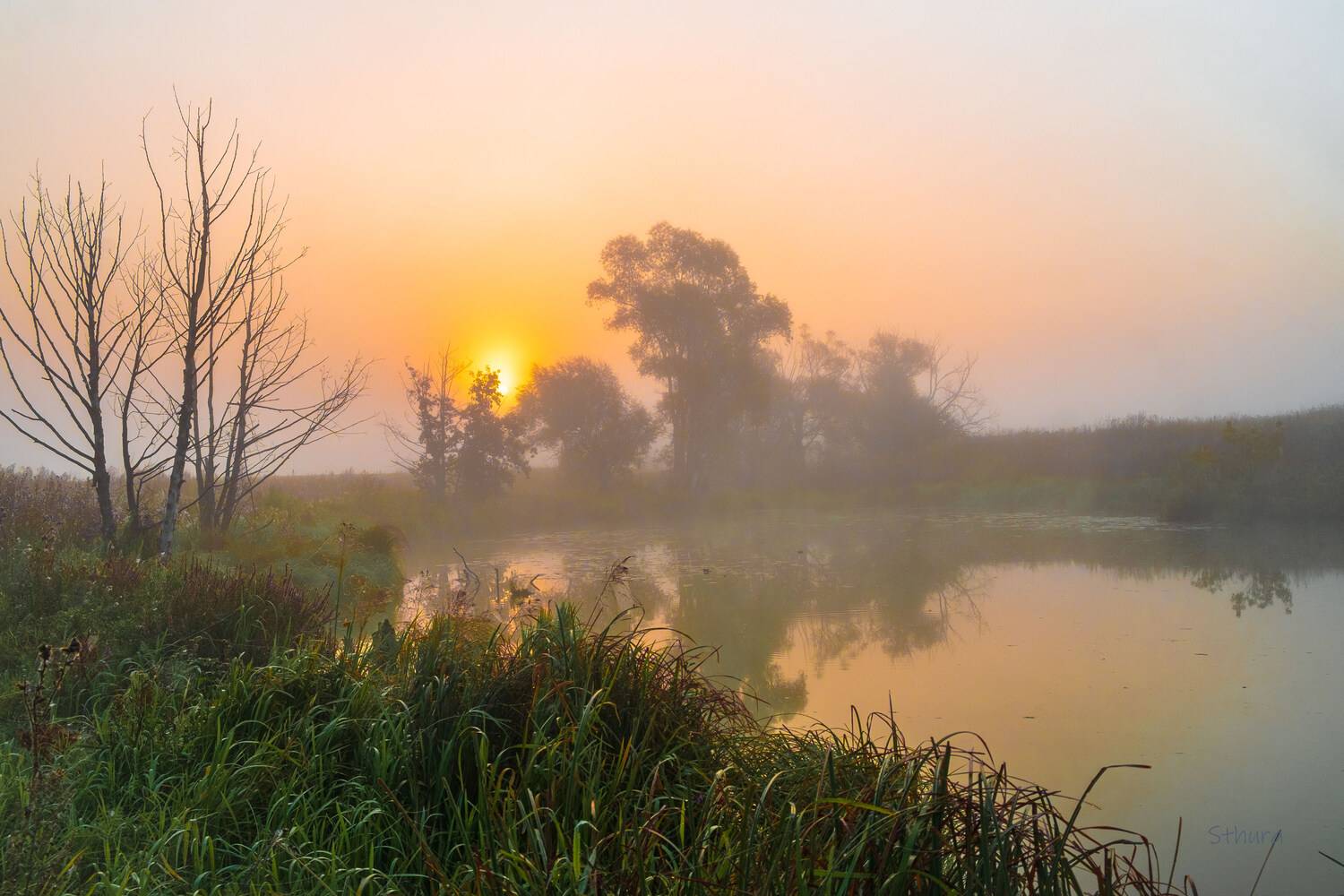 лето озеро рассвет туман природа пейзаж, Александр Строков