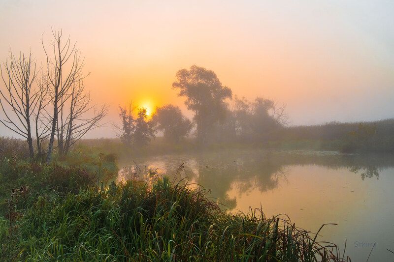 лето озеро рассвет туман природа пейзаж Утренний туман. фото превью