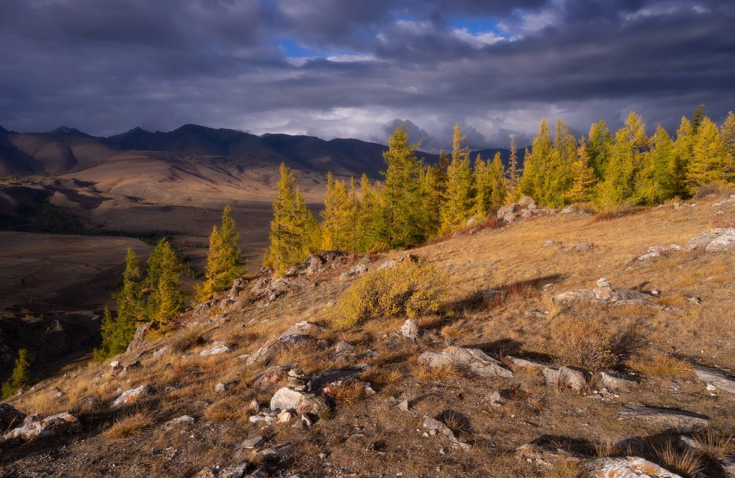алтай горы лес  пейзаж красивый тучи свет, Татьяна Юганова