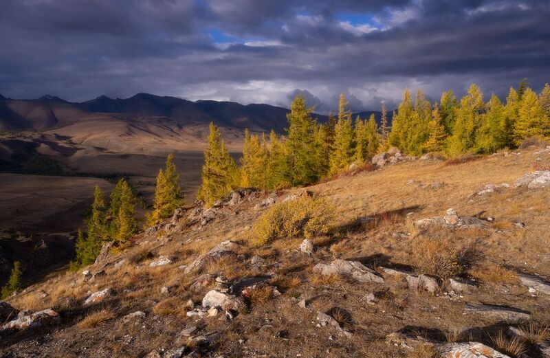 Свет и тень фото превью