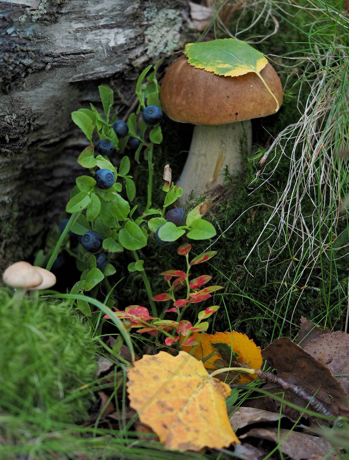 , Яковлев Евгений