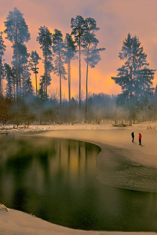 Лесное озеро фото превью